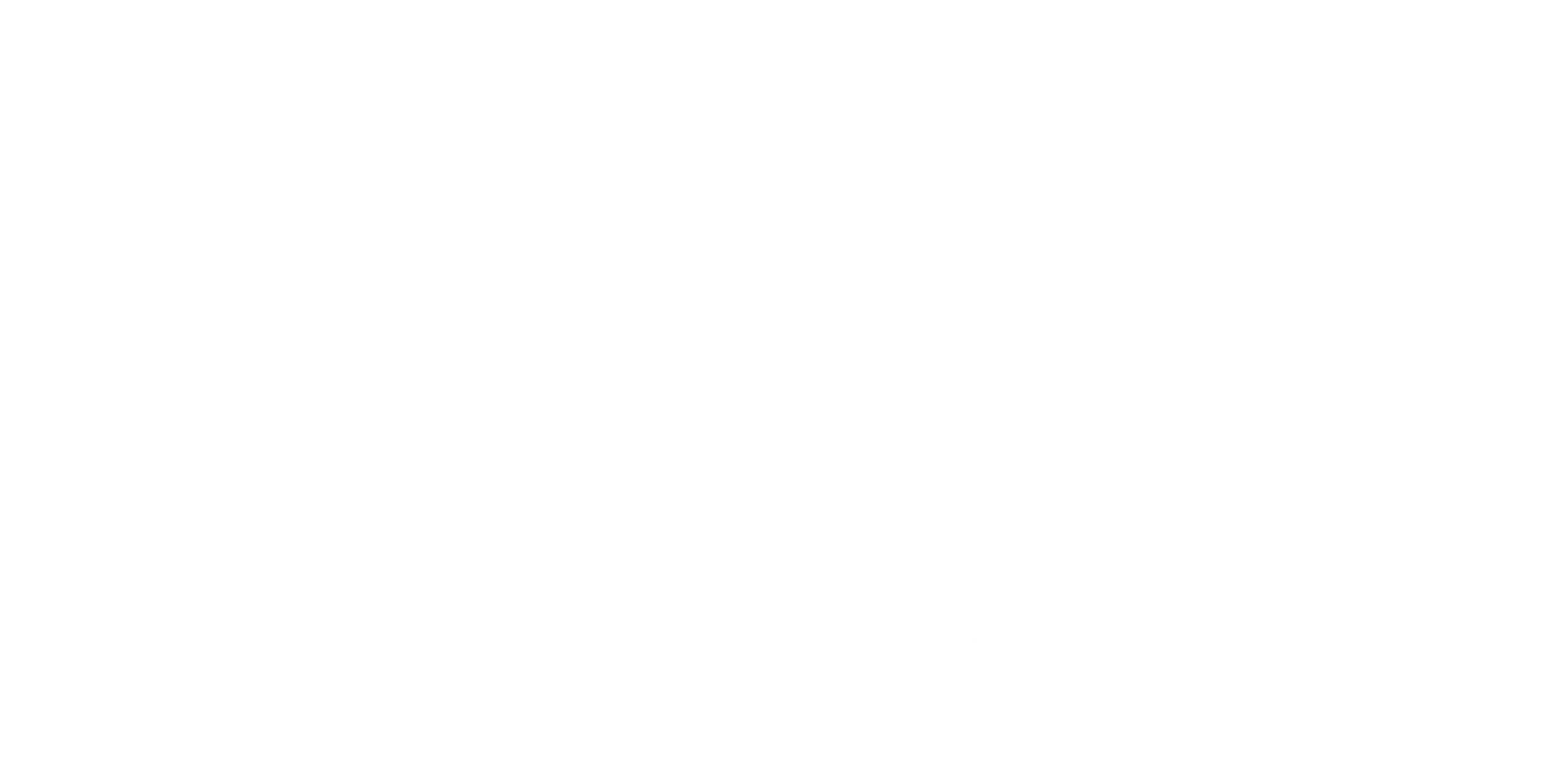 Flow Dentistry